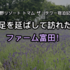 星野リゾート トマム ザ・タワー宿泊記④ 足を延ばして訪れたファーム富田