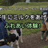 星野リゾート トマム ザ・タワー宿泊記⑥ 仔牛にミルクをあげるふれあい体験