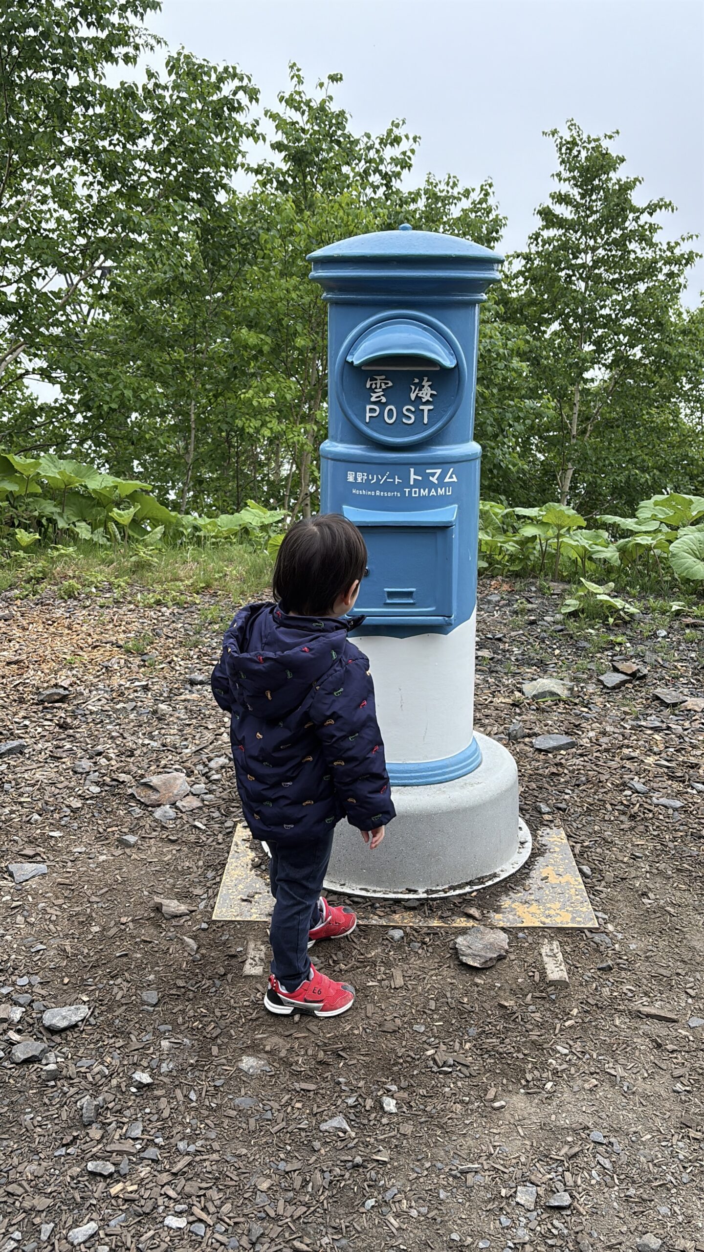 青い「雲海POST」に興味津々の息子